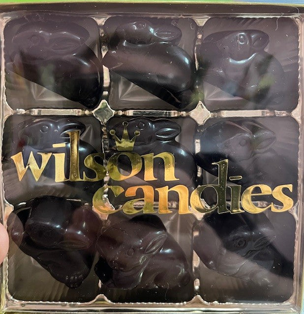 9 Piece Dark Chocolate Raspberry Mini Bunnies