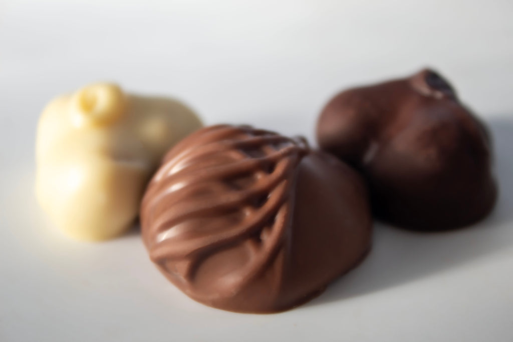 Dark Chocolate Covered Filberts (Hazelnuts) - Wilson Candy | Wilson Candy