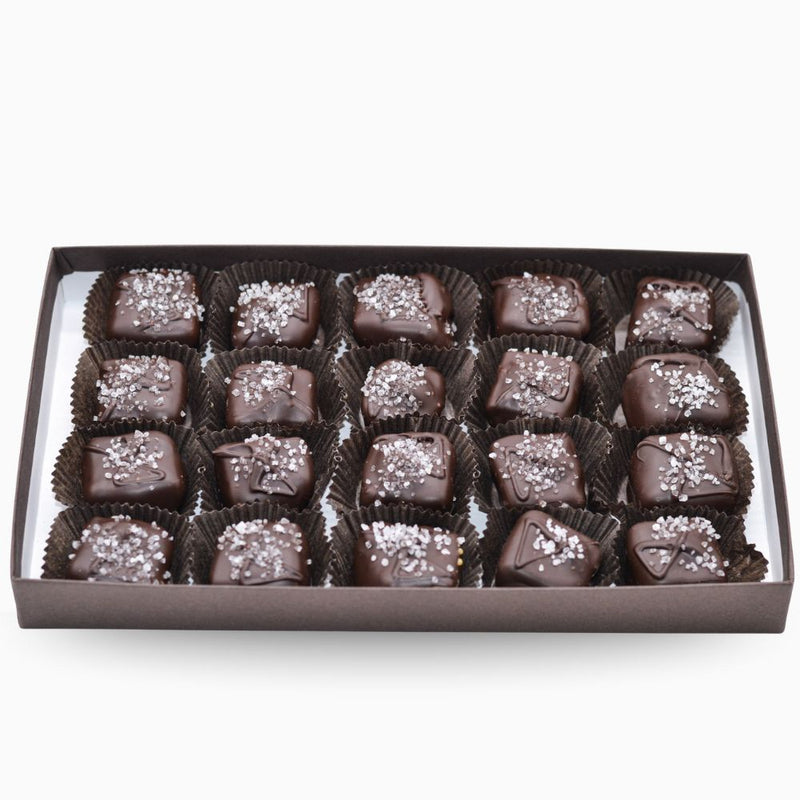 Wilson Candy Milk Chocolate Covered Sea Salt Caramels
