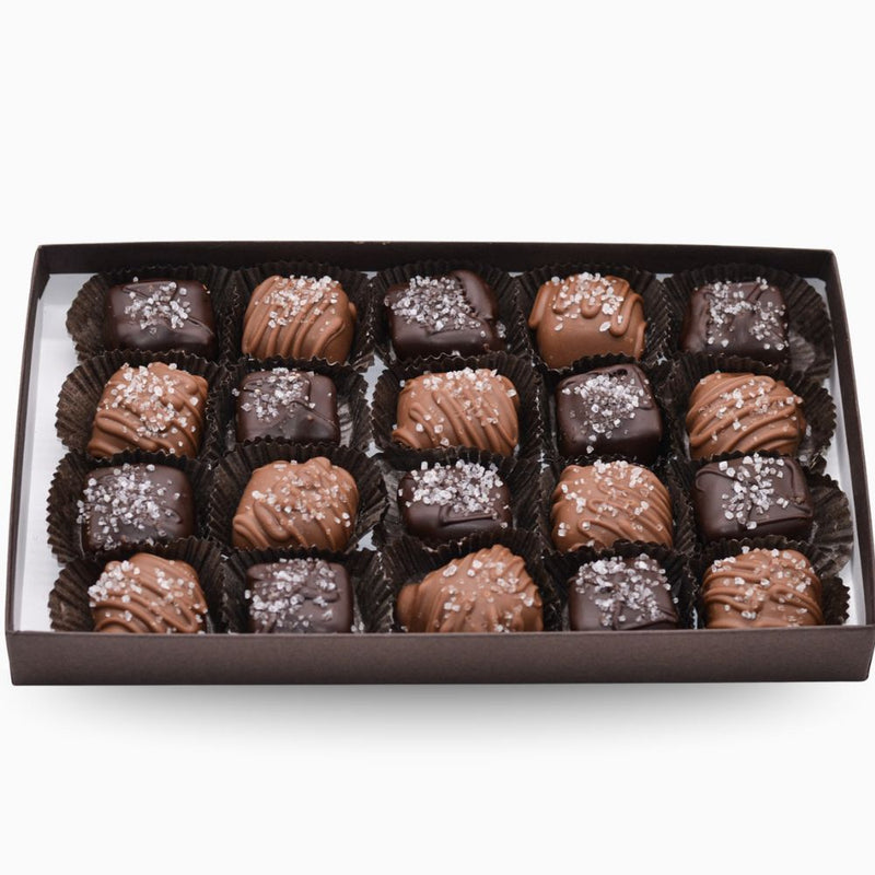 Wilson Candy Milk Chocolate Covered Sea Salt Caramels