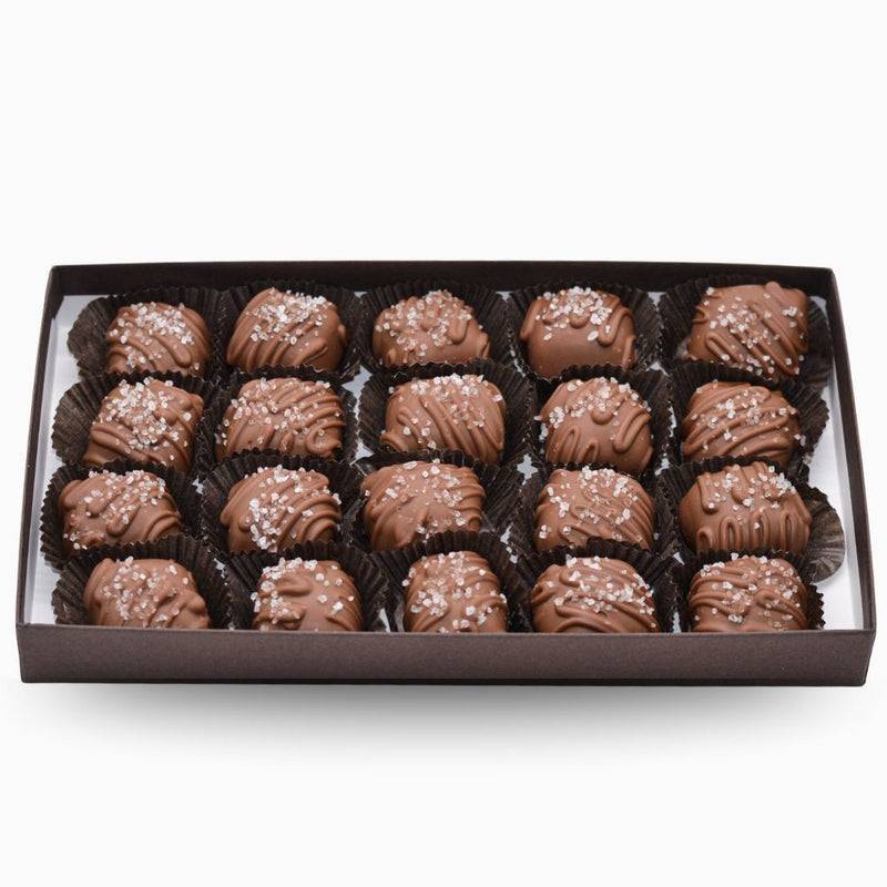 Wilson Candy Milk Chocolate Covered Sea Salt Caramels