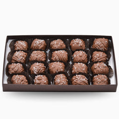 Wilson Candy Milk Chocolate Covered Sea Salt Caramels