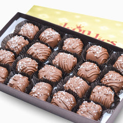 Wilson Candy Milk Chocolate Covered Sea Salt Caramels