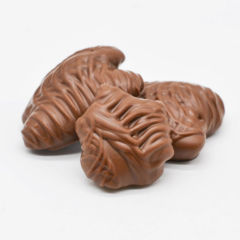 Wilson Candy Milk Chocolate Covered Caramel Pecan Pixies (Turtles)