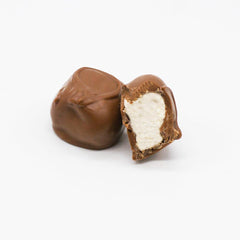 Wilson Candy Small Milk Chocolate Covered Marshmallows